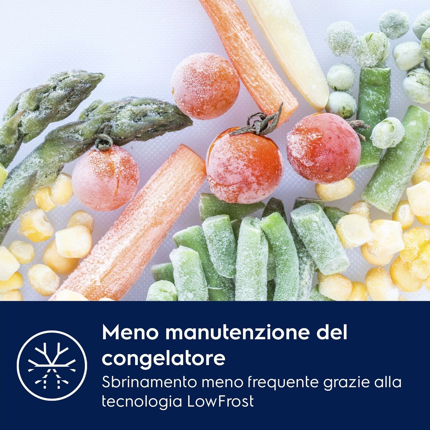 Electrolux BI KNS5LE18T Phase-out 2026 Marzo | FRIGOCONGELATORE COMBINATO/1780 MM/CLASSE ENERGETIC