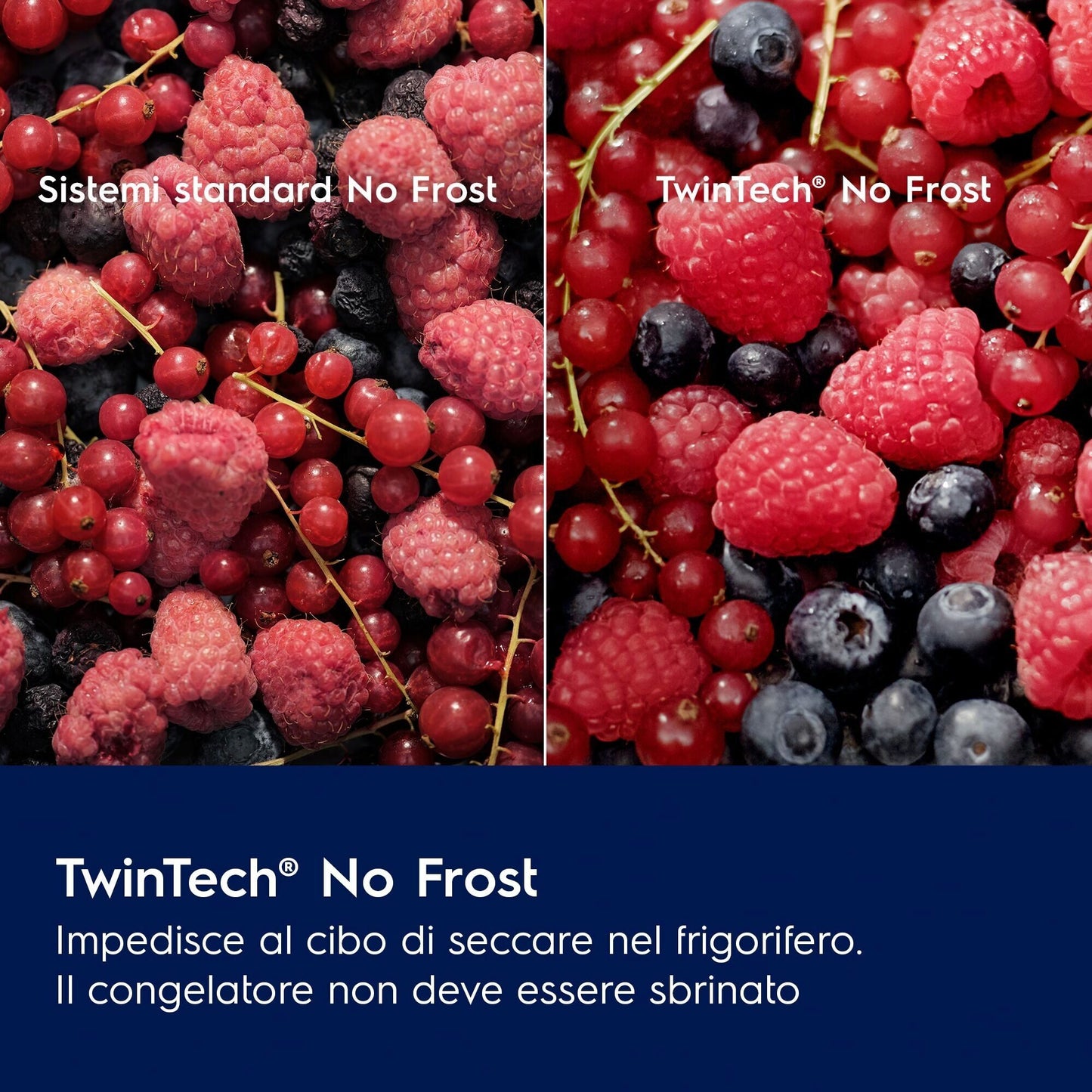 Electrolux LNT6ME18S Frigocongelatore Serie 600 TwinTech® Total No Frost 177,2 cm